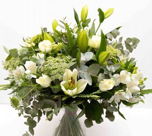 ��� �����