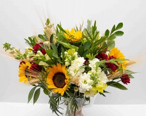 �� ��������