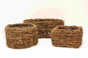 ����� �� ������