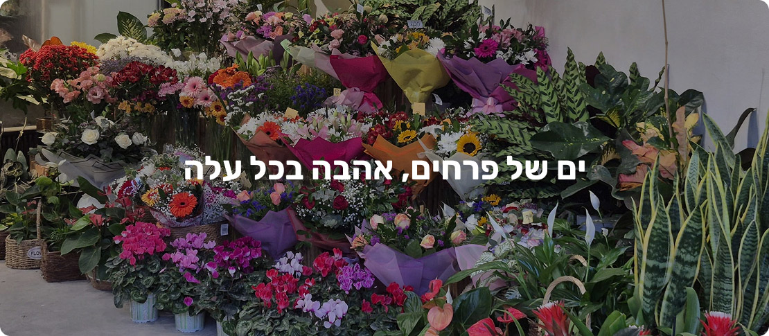 ����� �� �����